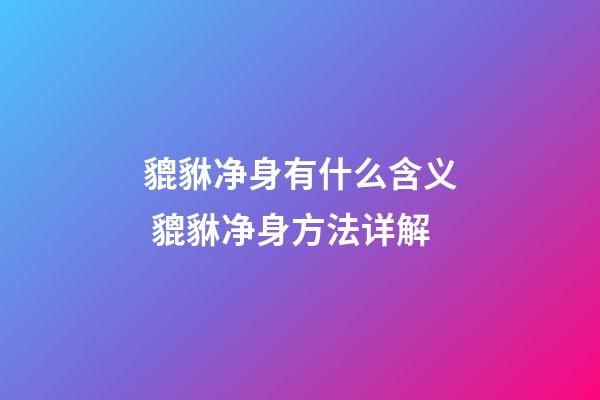 貔貅净身有什么含义 貔貅净身方法详解